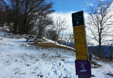 Tour Wandern Miribel-Lanchâtre - Les crêtes de la Ferrière - Photo
