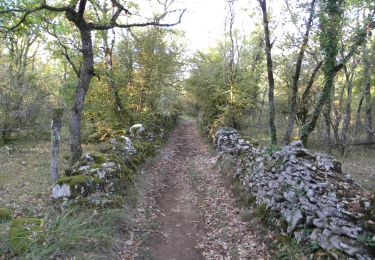 Trail Walking Limogne-en-Quercy - Mon Compostelle septième étape - Photo