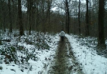 Trail Walking Yvoir - Durnal Marche Adeps 15 km  - Photo