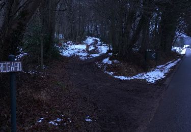 Tocht Stappen Seraing - la roche aux faucons - Photo