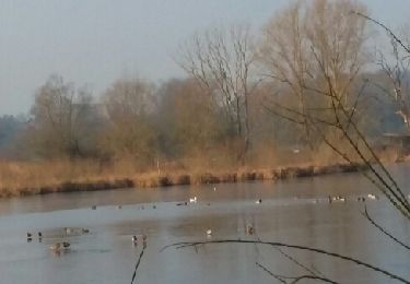 Tocht Stappen Graven - Florival Nathalie Demain 17 01 2017 - Photo