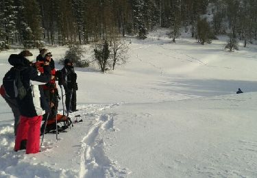 Trail Snowshoes Le Thillot - chaillon - Photo
