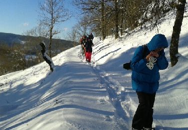 Randonnée Raquettes à neige Le Thillot - le  - Photo