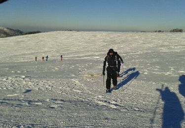 Percorso Racchette da neve Lepuix - Ballon d'Alsace, auberge du Langenberg  - Photo