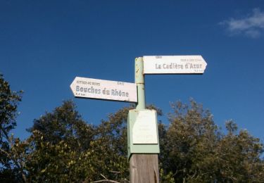 Trail Walking La Cadière-d'Azur - LE VALLON DEGOUTANT - Photo