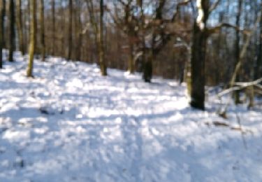 Randonnée Marche Bogny-sur-Meuse - neige entre Loup et Liry - Photo