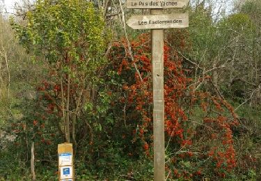 Trail Walking Roquebrune-sur-Argens - Villepey reco partielle  - Photo