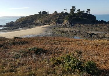 Randonnée Autre activité Saint-Lunaire - pointe du decolle - Photo