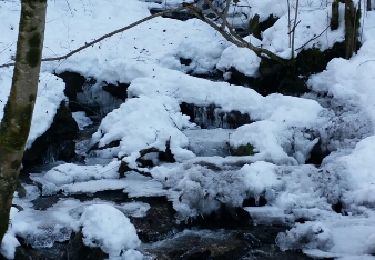 Randonnée Raquettes à neige Juzet-de-Luchon - JUZET - PAS DE LA COMBE (LABACH) - Photo