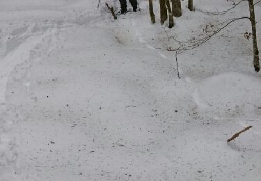 Tocht Sneeuwschoenen La Bresse - 2017 01 27 la Basse des feignes - Photo