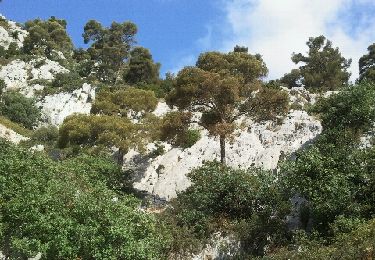 Tour Wandern Toulon - Faron par le sentier des hirondelles - Photo