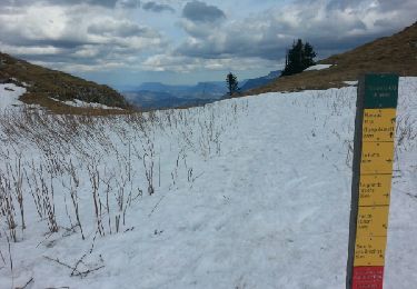 Tocht Sneeuwschoenen Autrans-Méaudre en Vercors - Le Pas de la Clé (2017) - Photo