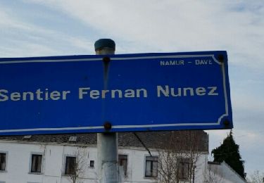 Percorso Marcia Namur - NANINNE (Nôlettes) - Photo