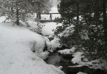 Percorso Racchette da neve Font-Romeu-Odeillo-Via - refuge Llobens par le golf - Photo