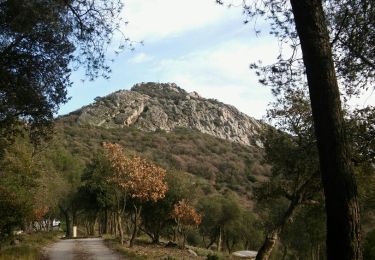 Excursión Senderismo La Crau - le fenouillet face nord - Photo