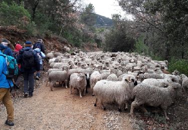 Excursión Senderismo Saint-Zacharie - source du Neys le 9-2-17 - Photo