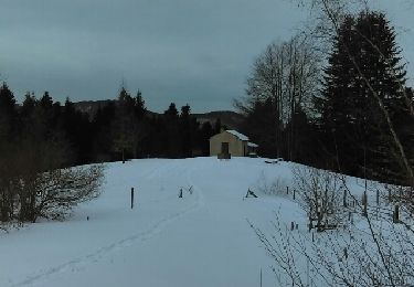 Tocht Sneeuwschoenen Montferrier - Mont d'Olmes - le Planas - Photo