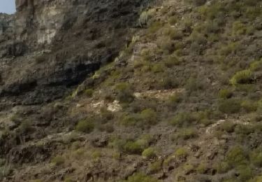 Randonnée Marche Santiago del Teide - montana guama-cruz misioneros - Photo