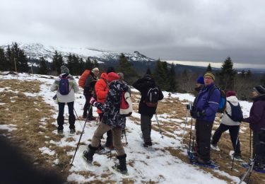 Excursión Senderismo La Tour-d'Auvergne - CLD-Raquettes le 14-02-2017 - Photo