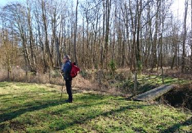 Trail Walking Thoury-Férottes - 170215-RECO - BelleFontaine - Photo