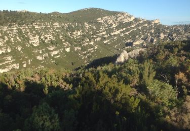 Tour Wandern Allauch - Le Pilon du Roy par les cretes du Cornillon - Photo