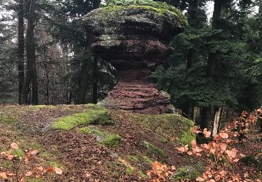 Tour Andere Aktivitäten Hagen - schoenfels - Photo