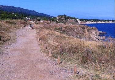 Trail Walking Argelès-sur-Mer - Argelès-camping Les Criques de Porteil - Photo
