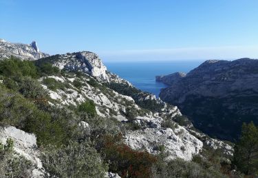Tour Wandern Marseille - les calanques de Sugiton et Morgiou - Photo