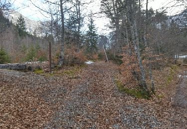 Trail Walking Poligny - Cabane des Pierres.(26-02-17) - Photo
