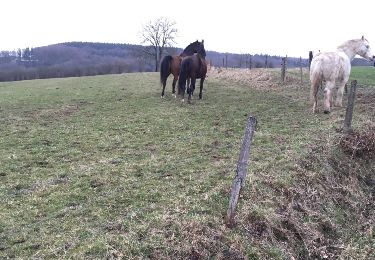 Tocht Stappen Aywaille - Houssonloge départ a la chapelle - Photo