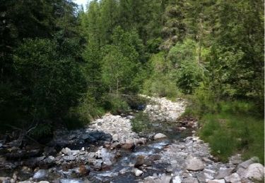 Excursión Senderismo Les Orres - Lac Sainte Marguerite + Boucle n°8 - Photo