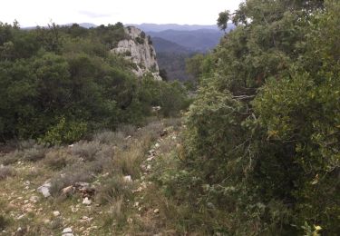 Tour Wandern Bagard - les crêtes  de Peyremale  - Photo