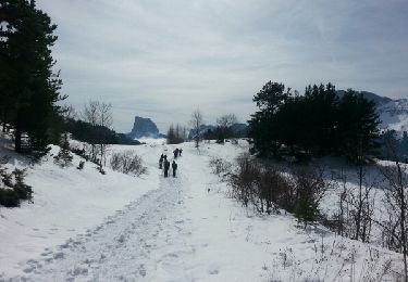 Tocht Sneeuwschoenen Gresse-en-Vercors - Le pas du Serpaton et + (Gresse Circuit 8 Noir) - Photo