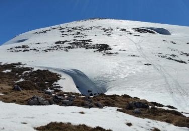 Excursión Raquetas de nieve Val-de-Sos - 2017 -03 -10 Mont Ceint  - Photo