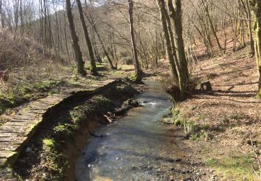 Excursión Otra actividad Neufmanil - neufmanil bois des chênes ferres  - Photo