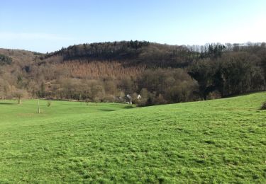 Tocht Stappen Esneux - Esneux , le plus beau parcour de 13 km avec 2 montées accessibles  - Photo