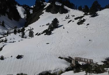 Randonnée Raquettes à neige Fontrabiouse - Esposolla Jaca de les Formigues - Photo
