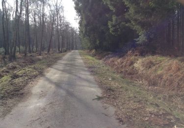 Trail Walking Eupen - hertho km faux_backup - Photo