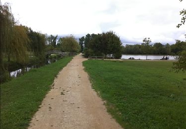 Trail Walking Aigrefeuille-d'Aunis - Aigrefeuille-Lac de Frace - Photo