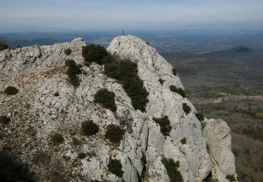 Trail Walking Plan-d'Aups-Sainte-Baume - la sainte baume  - Photo