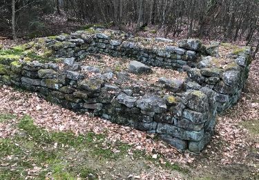 Tour Wandern Hagen - wasserwald vestiges gallo-romain - Photo