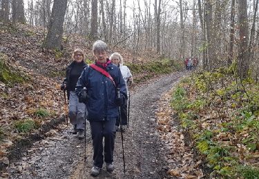 Tour Wandern Le Tremblay-sur-Mauldre - rando du 23/03/2017 - Photo