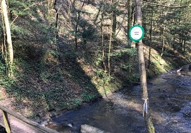 Tour Wandern Sankt Ludwig bei Pfalzburg - rocher du calice chemin des éclusiers  - Photo