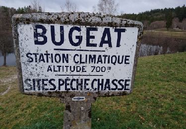 Tour Wandern Bugeat - balade dans le bois de Chaleix  - Photo