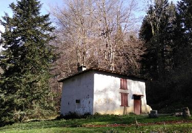 Tour Wandern Barbazan - Grande boucle de Barbazan - Photo