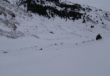 Percorso Racchette da neve Eyne - Eyne  Orri de Baix - Photo