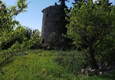 Randonnée Marche Leucate - sur les hauteurs de leucate - Photo