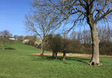 Trail Walking Herve - Herve Promenade Campagnarde - Photo