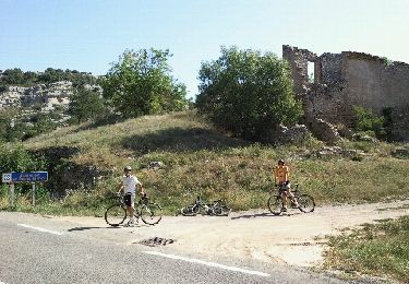 Excursión Bici de montaña Rians - par les Seis et les Derots - Photo