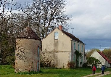 Trail Walking Chailly-en-Gâtinais - Pr des Bourbons - Photo